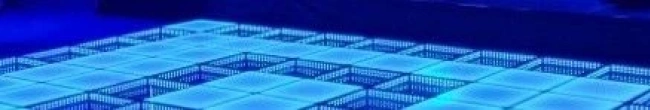 Magic Floor